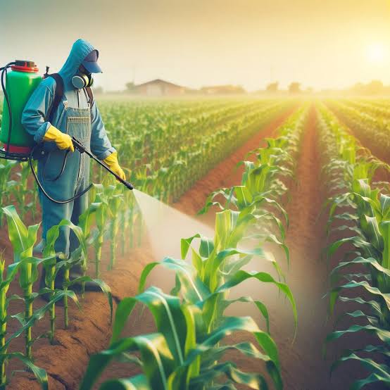 Farming